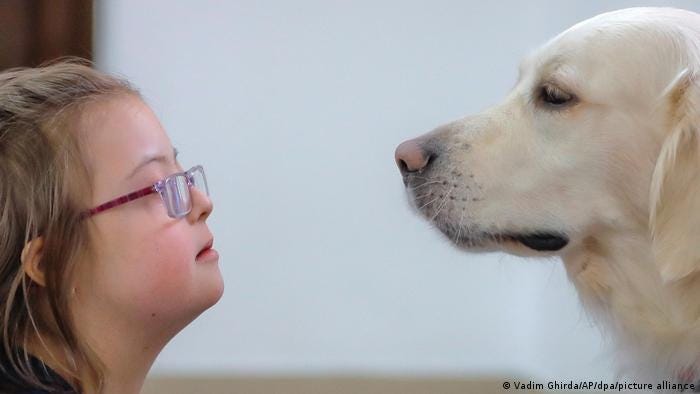 A calming moment with a pet