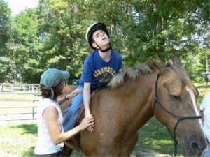 Therapeutic interaction with animals