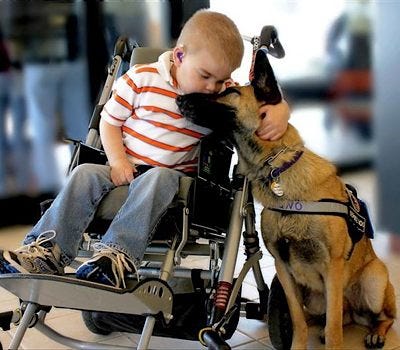 An elderly person enjoying time with a pet