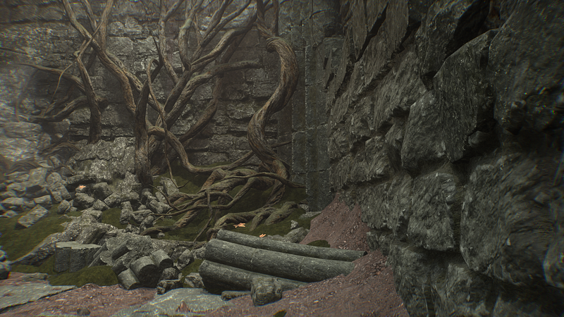 Screenshot from Lords of the Fallen showcasing detailed graphics.