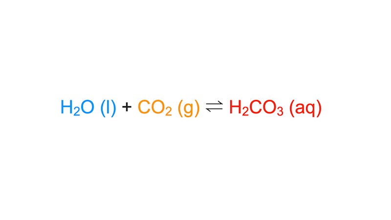 How carbonation influences taste perception