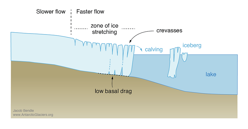 Icebergs formed from calving glaciers