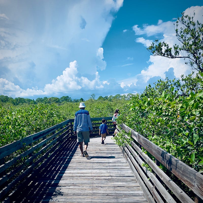 Scenic view from the boardwalk