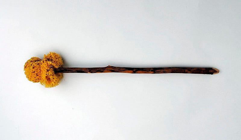 Tersorium, a sponge on a stick