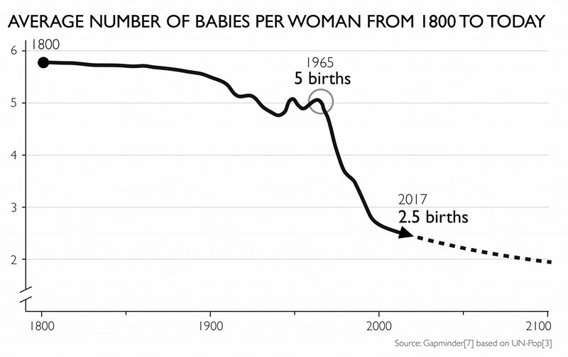 Birth rate trends in correlation with life expectancy