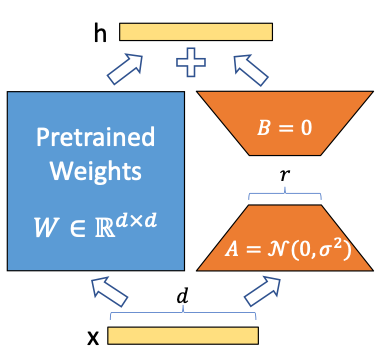 Decomposition of weight updates in LoRA