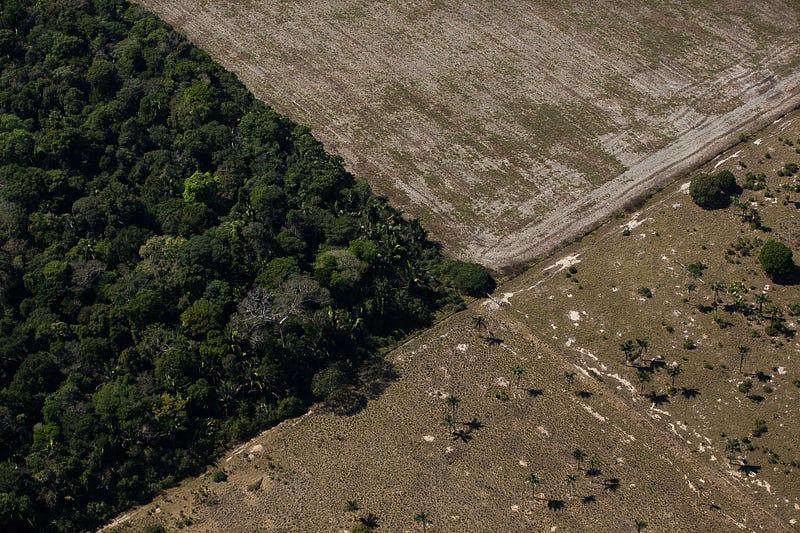 Aerial view of deforested land and pastures in the Amazon