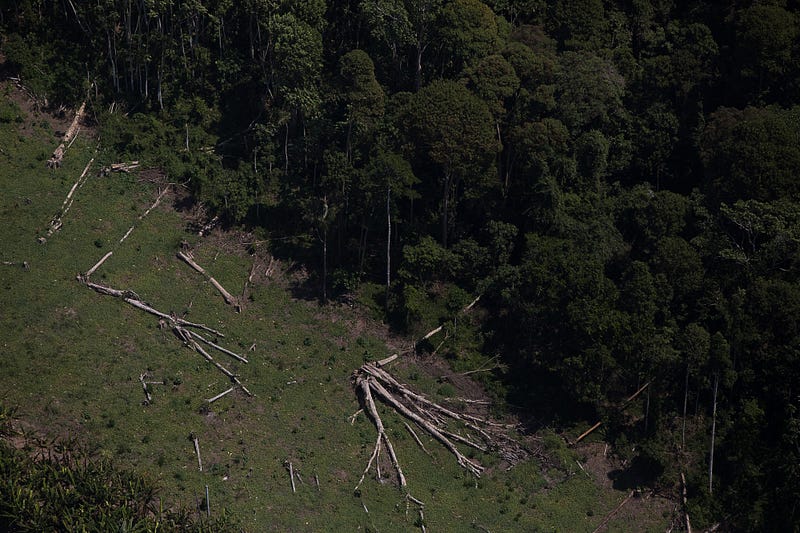 Aerial view of a forest edge in Rondônia, Brazil