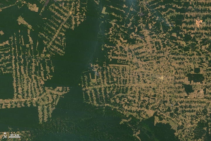 Image of deforestation in Rondônia, Brazil