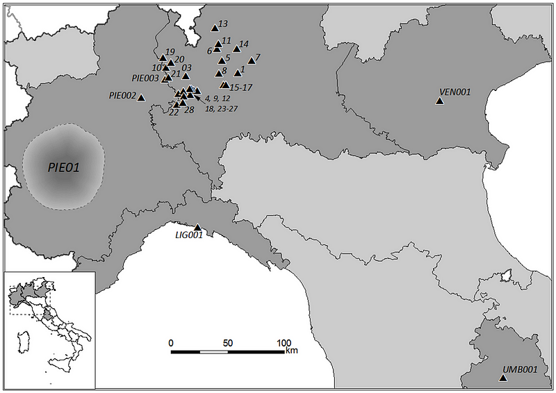 Population decline of red squirrels in Italy