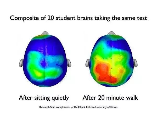 Brain scans illustrating exercise impact on cognition