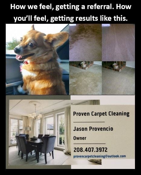 Carpet cleaning as a lucrative side hustle