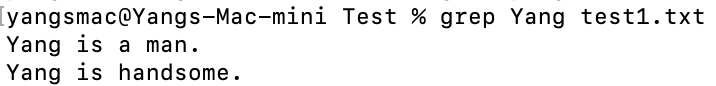 Searching for the term "Yang" in a text file.