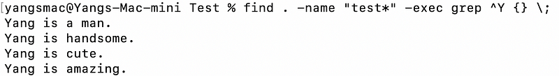 Example of combining find and grep commands.