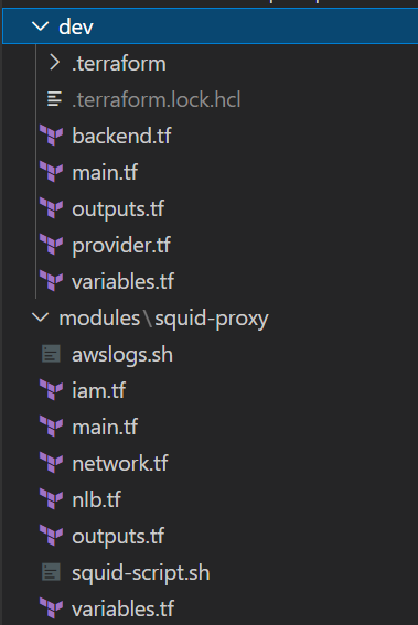 Terraform Modules for Squid Proxy Setup