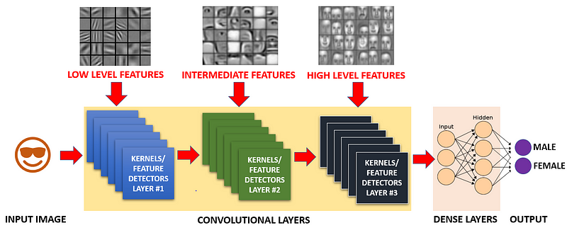 Layer progression in a convolutional neural network.