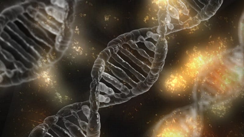 Diagram illustrating gene expression and regulation