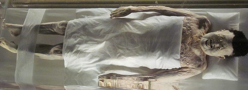 Well-preserved mummy of Xin Zhui