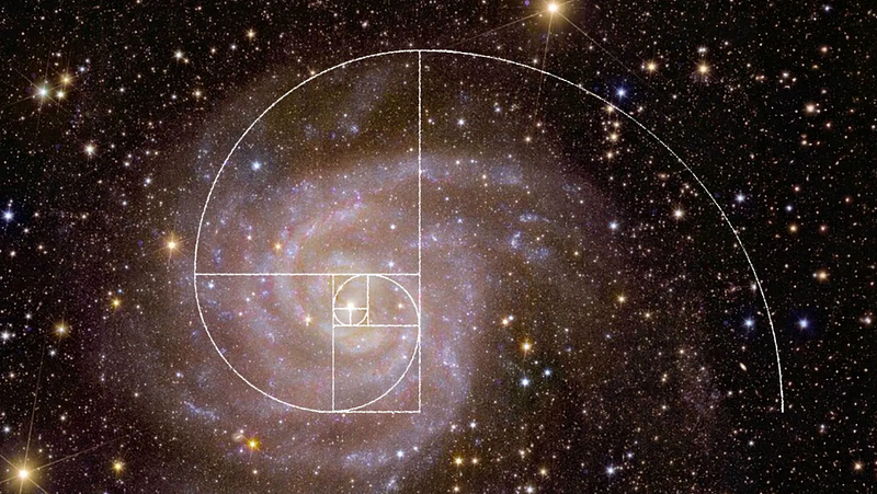 Representation of the Fibonacci sequence in nature