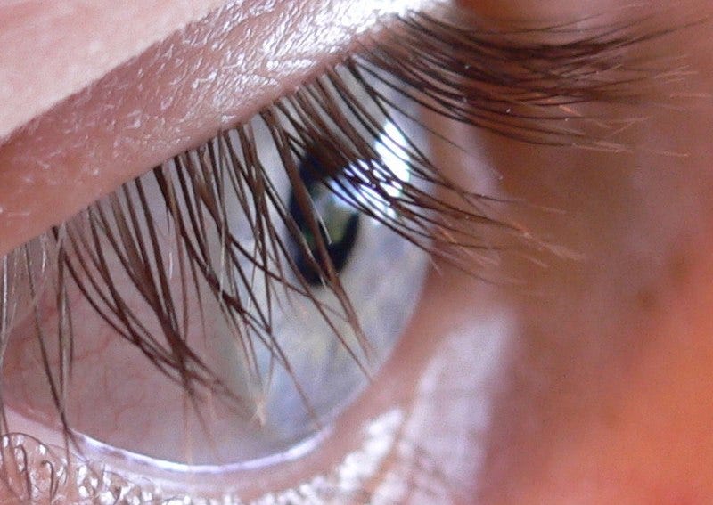 Image of human eyelashes