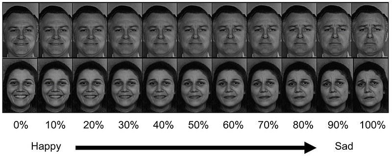 Emotion recognition in ambiguous faces