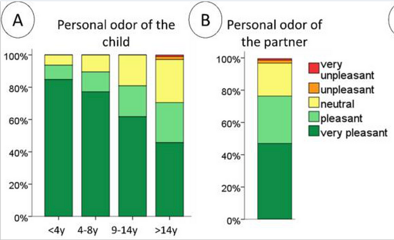 Chart comparing scent ratings of children and partners