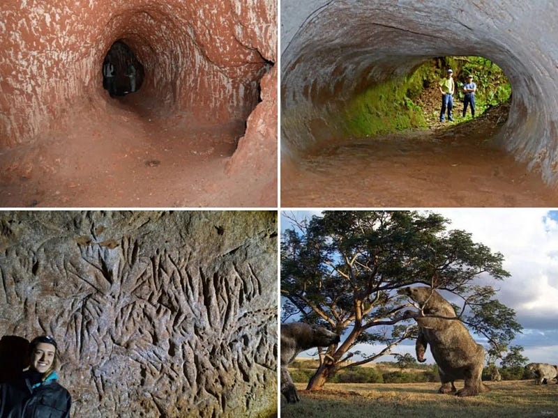 Ancient ground sloth tunnels