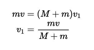 Momentum conservation in the pulley system