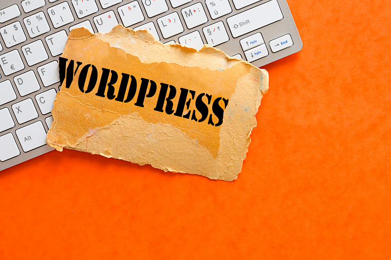 WordPress Dominance