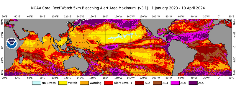 Global coral bleaching alert map from NOAA