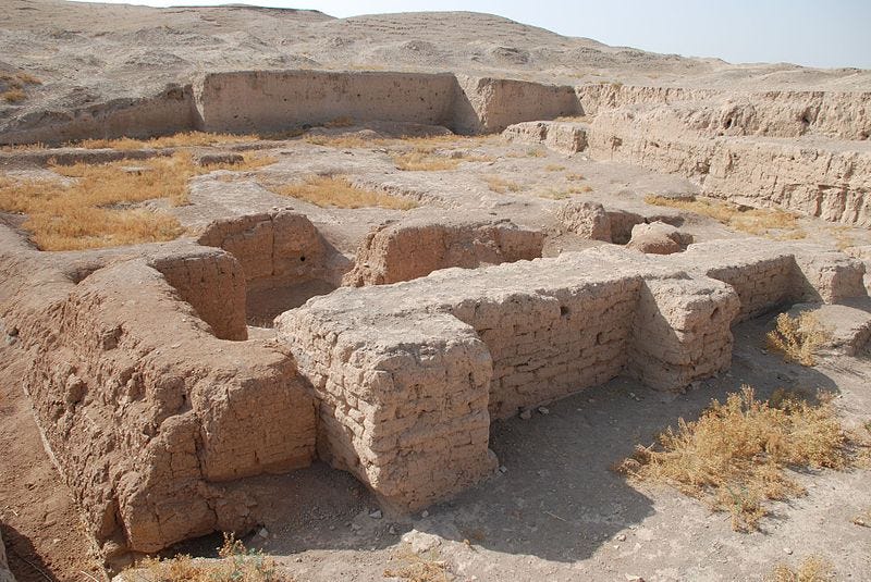 The Palace of Naram-Sin at Tell Brak.