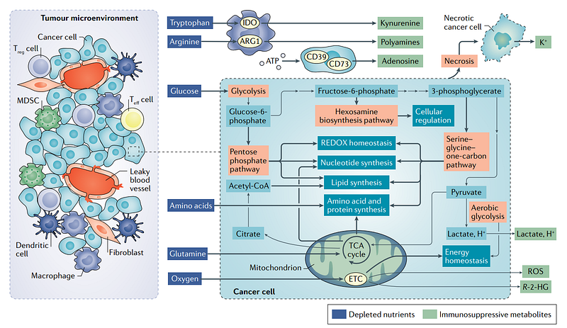 Opportunities in immunometabolism research