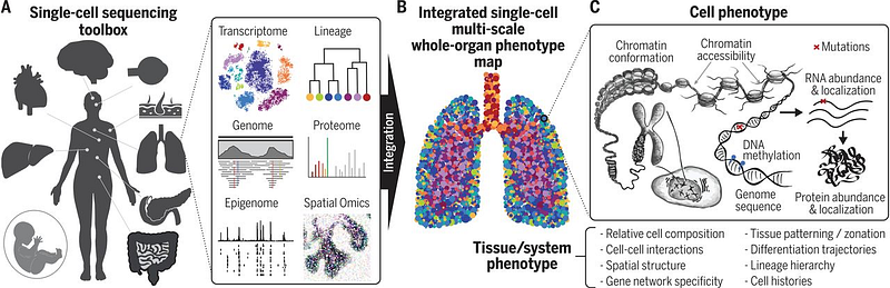 Single-cell sequencing advancements and implications