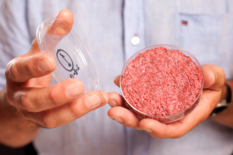 Cultured meats impact on the food industry