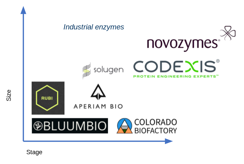 Industrial enzymes and their applications