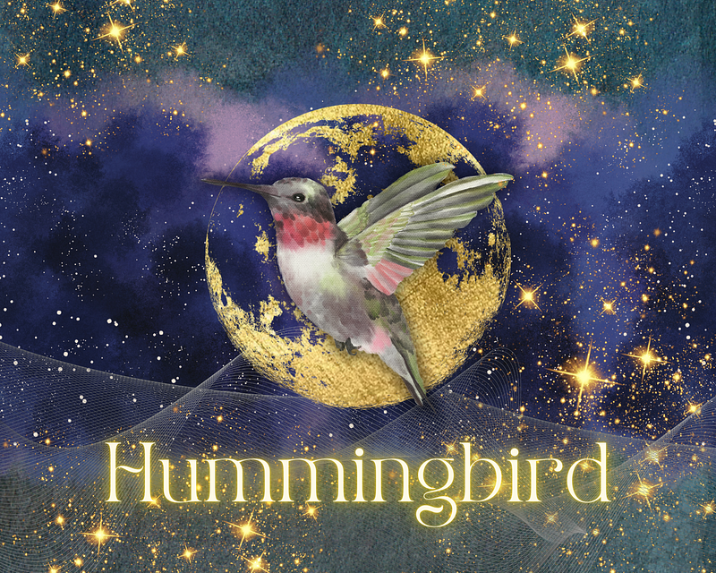 Hummingbird guiding your spiritual journey