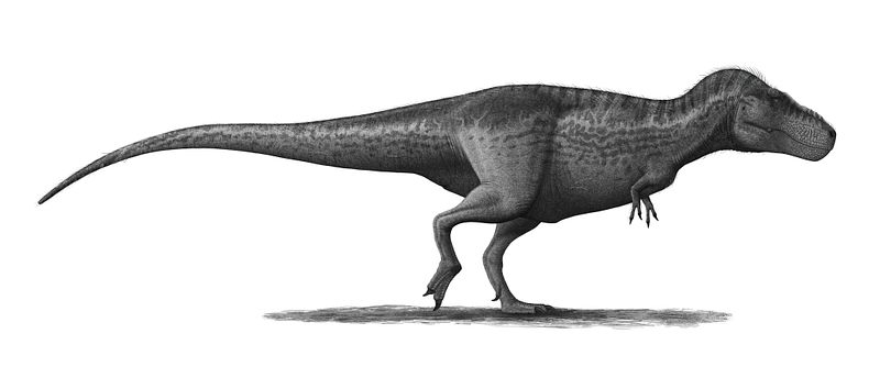 Artistic restoration of Tyrannosaurus rex.