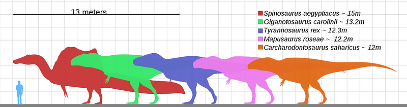 Size comparison of various theropods, including T.rex.