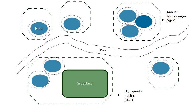 Schematic representation of the modeling elements.