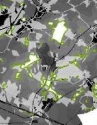 Boundaries of high-quality habitat outlined in green.